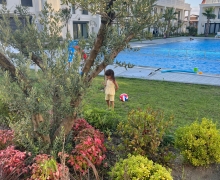 KOCAALİ SARAYLARI 1